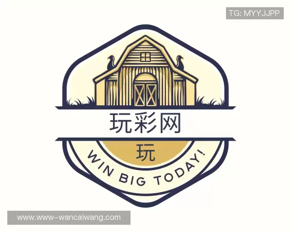 了解玩彩网官网